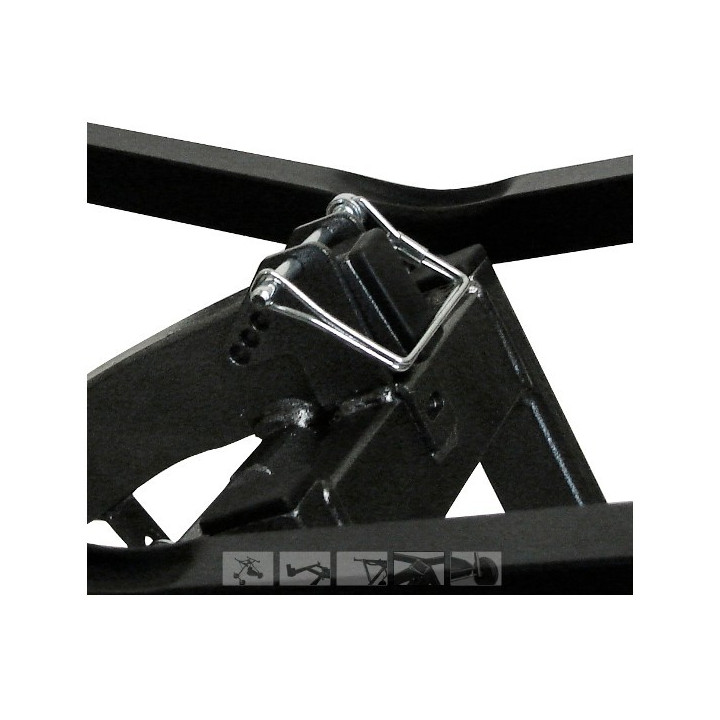 Stone - TEAM KART TROLLEY
