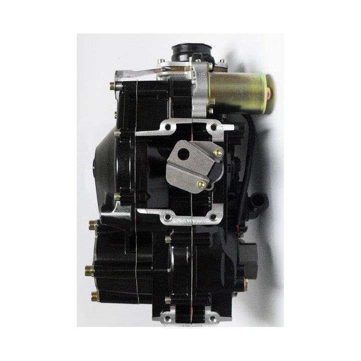 Rotax DD2 Evo rå motor