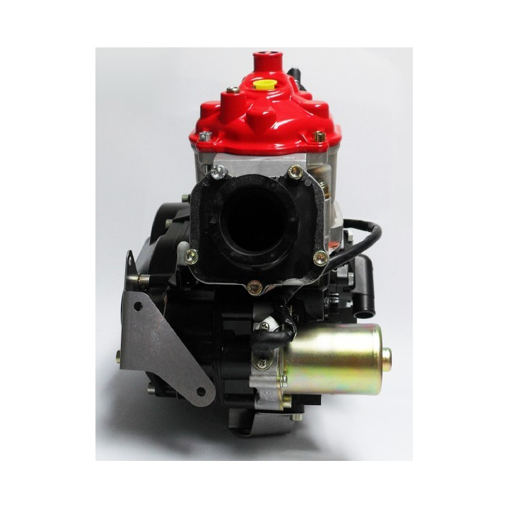 Rotax DD2 Evo rå motor