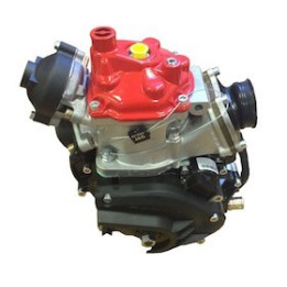 Rotax Senior Evo "rå" motor