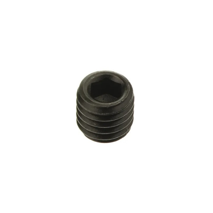 Pinolskrue til leje i bagaksel M6 x 6mm