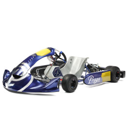 PRAGA Dragon EVO III Kart OK, OKJ, ROTAX, KF, X30, ROK | Stjerne Racing Roskilde